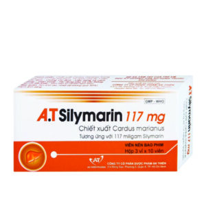 A.t Silymarin 117mg An Thiên