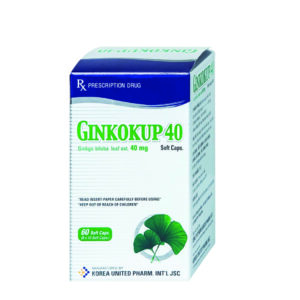 Ginkokup 40 Korea