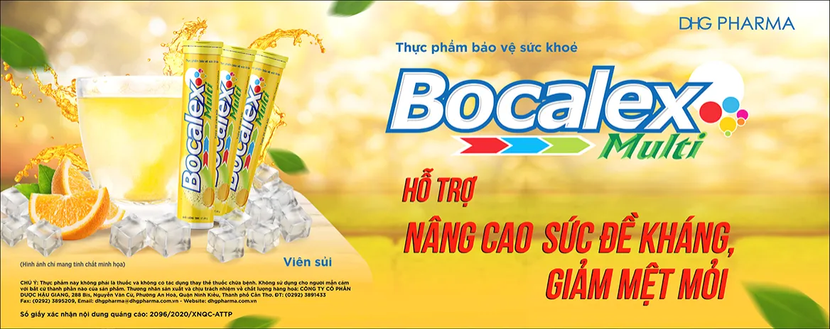 Bocalex 2020_1168x464.jpg